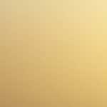 発達障害児の子育てと、私たちにできること 【自閉症スペクトラムの息子を育てる虹色の朝陽さんインタビュー】