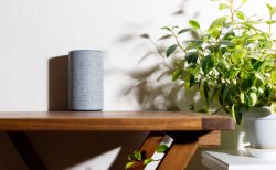 リモートワークによる「おうち時間増」で、スマートスピーカー需要に高まり