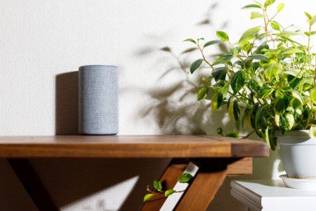 リモートワークによる「おうち時間増」で、スマートスピーカー需要に高まり