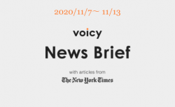 Voicy News Brief with articles from The New York Times ニュース原稿 11/7-11/13