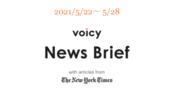 南極を英語で言うと？Voicy News Brief with articles from The New York Times 5/22-5/28 ニュースまとめ