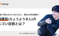 実は大切な筋肉なんです！脚を上げる「腸腰筋(ちょうようきん)」のスゴい役割とは？ − オガトレ