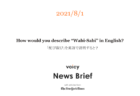 がれきを英語で言うと？Voicy News Brief with articles from The New York Times 8/16-8/20 ニュースまとめ